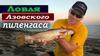 Рыбалка на азовском море пеленгас