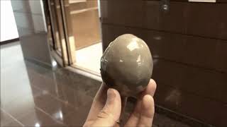DELTA Polyurea Egg Test