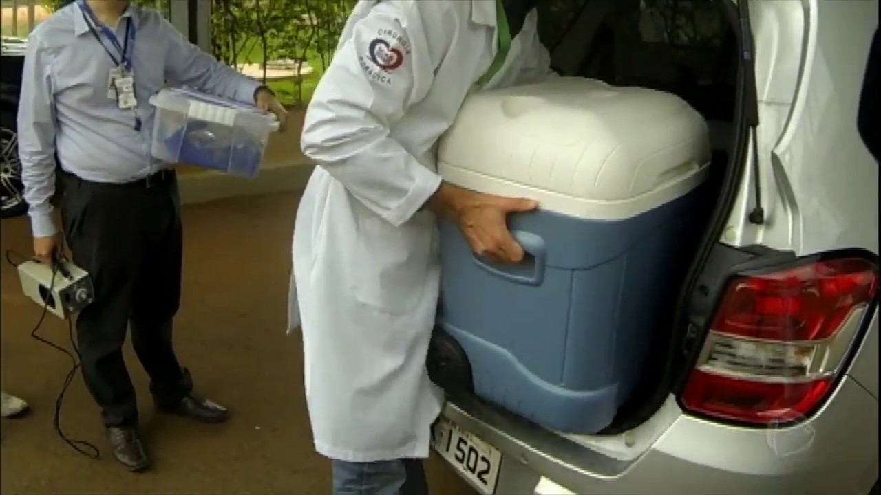 Saiba como é feito o procedimento para a doação de órgãos