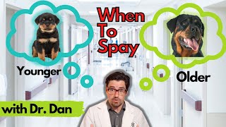 When to Spay your DOG?  Dr. Dan explains.