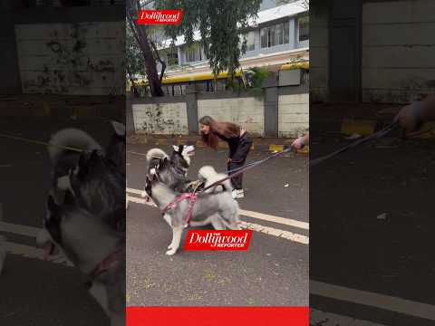 It's Paw-some day for #raveenatandon's daughter #rashathadani ❤️ #shorts #doglover #trending