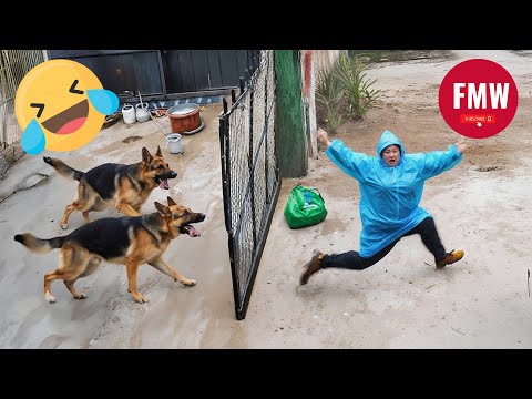 Funny & Hilarious People Life 😆 #530 | TRY NOT TO LAUGH CHALLENGE 😂 | Funny Videos Compilation 2025