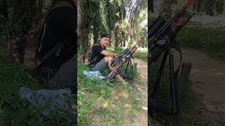 Download lagu BERBURU RUAK Ruak di perkebunan kelapa sawit mp3