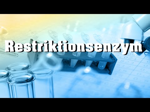 Restriktionsenzyme und ihre gentechnische Funktion