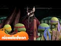 TMNT | Splinters beste levenslessen in TMNT ? | Compilatie van 20 minuten | Nickelodeon Nederlands