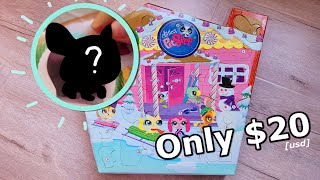 The LPS Advent Calendar EVERYONE Forgets