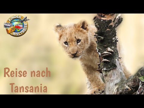 Tansania - Reise zum Kilimandscharo! Wo liegt der höchste Berg Afrikas?