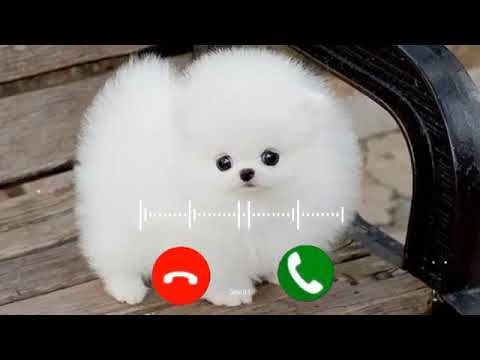 Abe yaar SMS notification ringtone | Best download ringtone.