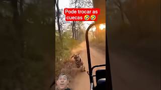 #wildlife #leopard #wildanimals #animals #animalworld #youtubeshorts #peixesamazonicos #barcopesque