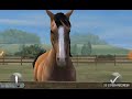 Hackeo Del Juego My Horse