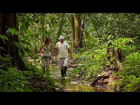 Costa Rica | The paradise they don't want you to know