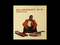 Bo Diddley -  Hong Kong Mississippi