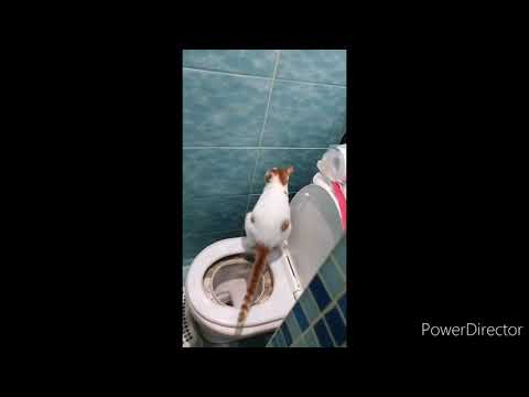 крюгер собрал группу