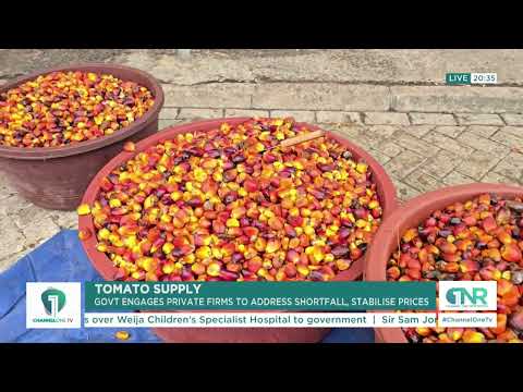 Government Partners Private Sector to Boost Tomato Production in Northern Ghana