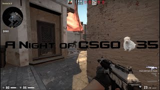 Highlights During the Great Deranking: A Night of CSGO #35