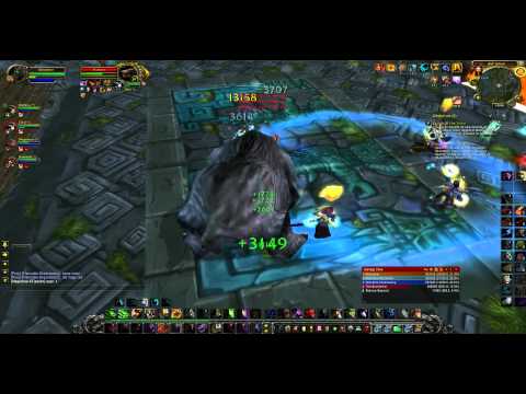 feral druid v daakara