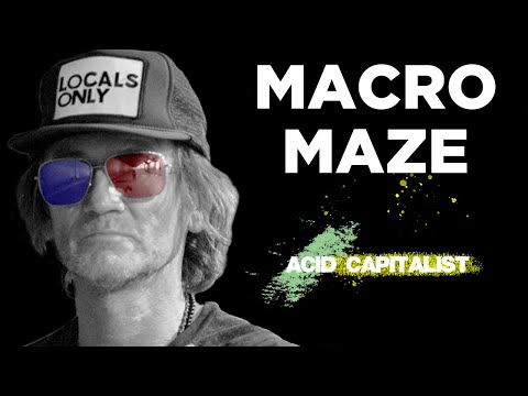 A Different Perspective with the Acid Capitalist Hugh Hendry - The Macro Maze