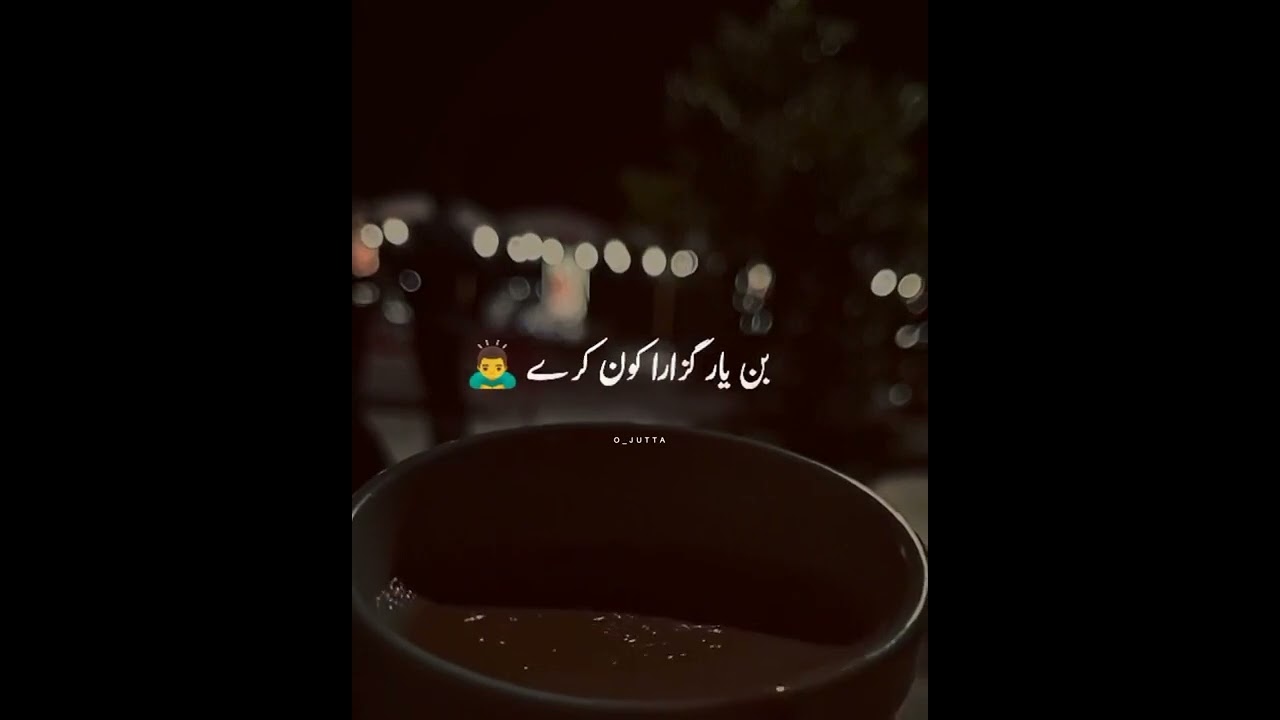 Bulleh shah best lines #whatappstatus #noor #youtubeshorts #viralpoetry