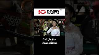 Download lagu Lali Janjine mp3