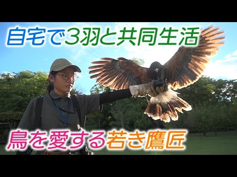 羽が抜け落ちた鶏の治療方法は？考えられる 4 つの原因と問題を解決する簡単な解決策  庭園