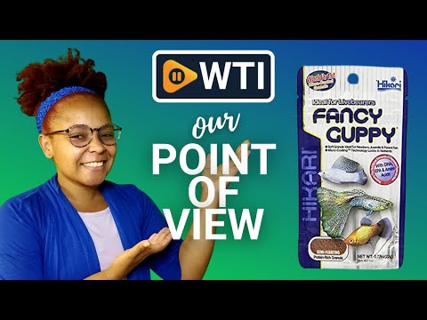 Hikari Usa Tropical Guppy Fish Food - WTI product video review