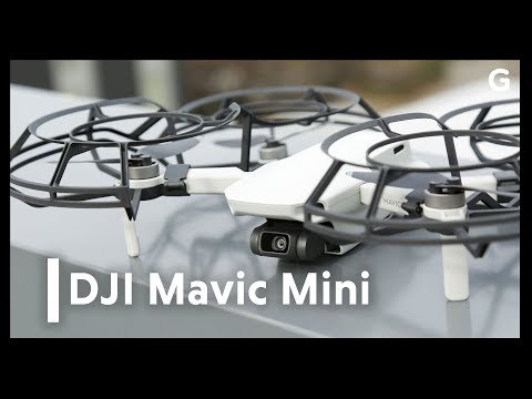 DJI Mavic Mini Review: It Blew Us Away
