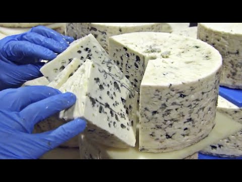 COMO se HACE el QUESO ROQUEFORT🧀| ASÍ se HACE el QUESO con MOHO