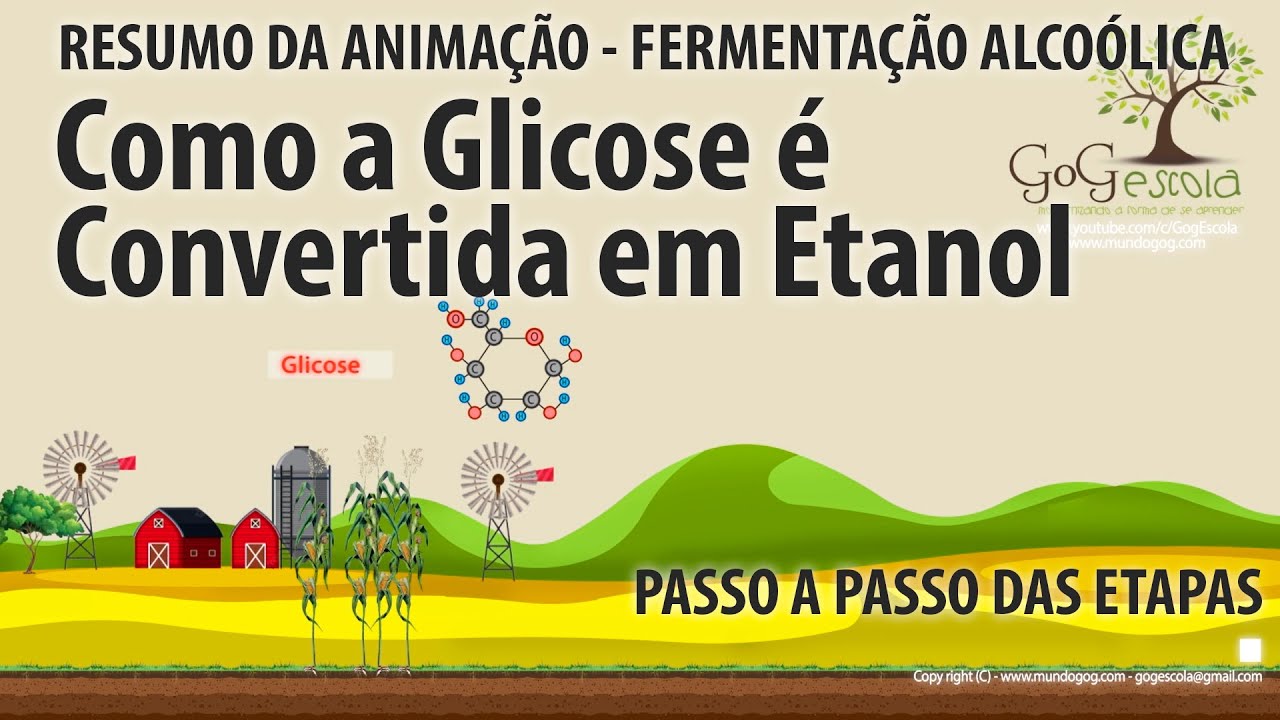 Fermentação Alcoólica - Conversão de Glicose em Etanol + Gás Carbônico