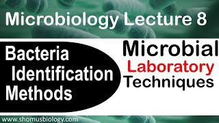 Microbiology lecture 8 | bacterial identification methods in the microbiology laboratory