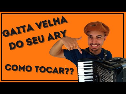 A Gaita Velha do Seu Ary - Teixeirinha