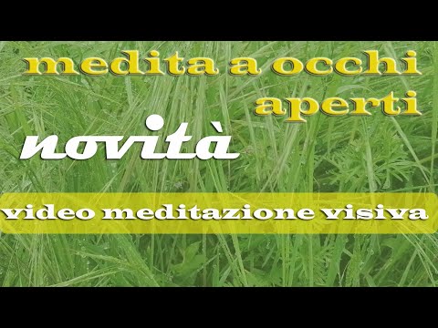 Video Meditazione Visiva Guidata Rilassati A Occhi Aperti - Suoni Naturali Vento Pioggia Uccelli Api