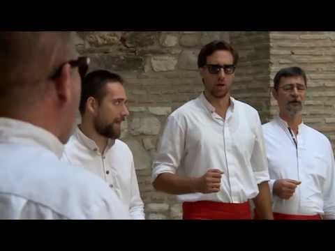 Klapa Cambi Split - IN MAGAZIN (NOVA TV)