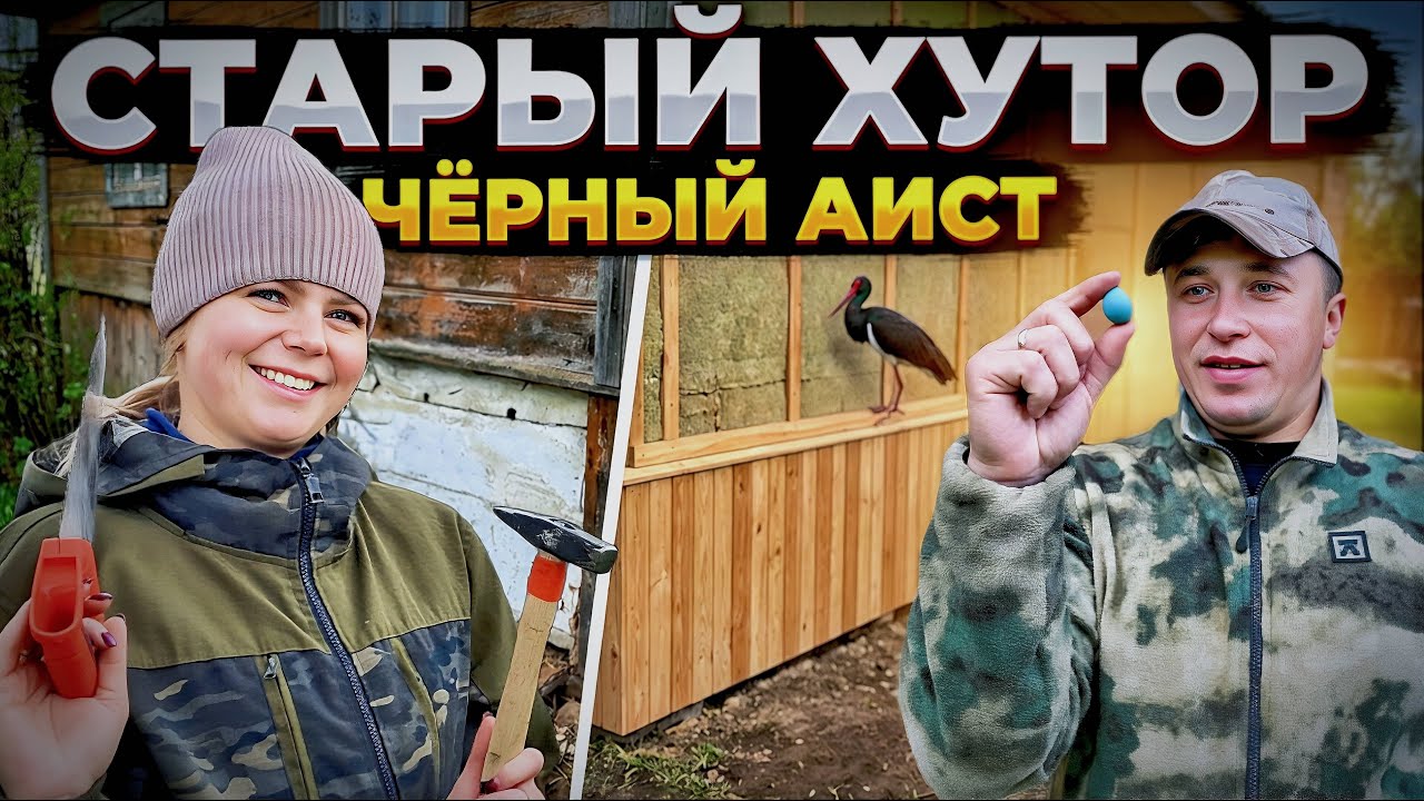 ВОССТАНАВЛИВАЕМ СТАРЫЙ ХУТОР. ЧЁРНЫЙ АИСТ И ДИКОЕ ЯЙЦО! ПОДГОТОВИЛИ ПОЛЕ И П?