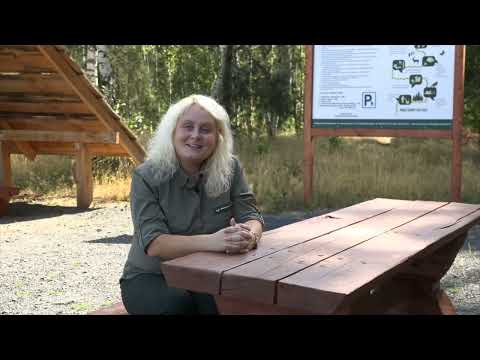 Oferta turystyczna i mała retencja w Nadleśnictwie Szprotawa