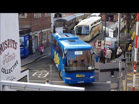 Coach Line-up (BL10BEL, YN14EDR, YJ12KFK, Y12POS)