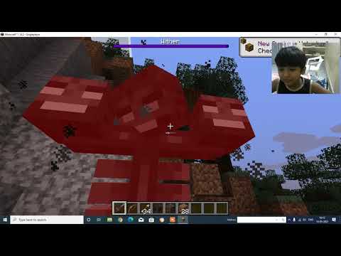 Minecraft Easiest way to kill Withers! 30 Second Method - 1.16/1.15 | I KILL WITHER IN 20 SECONDS