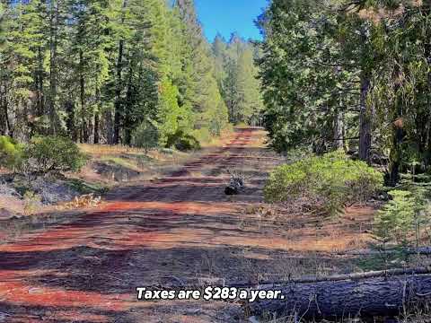 0.9 Acres for Sale in California for $7,650