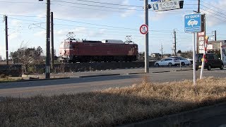 列車番号????　快速EL村上ひな街道号#9　(EF81-97:単機)　羽越本線60P　19/03/24「撮影場所まで間に合わず。お疲れ様でした。」