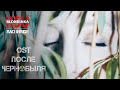 Блондинка КсЮ Sad Inside OST After Chernobyl Official Video
