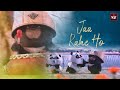 Jaa Rahe Ho Bamboo Panda Version Bamboo Panda CLIPS Version Video Mixing Learning