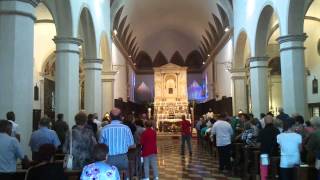 preview picture of video 'Basilica di Motta di Livenza - Madonna dei Miracoli - 31/08/2014 salve o regina'