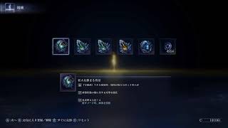 昨日できなかったから今日はやるレインねぇ・・（身内向け・記録