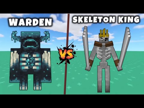 WARDEN VS SKELETON KING