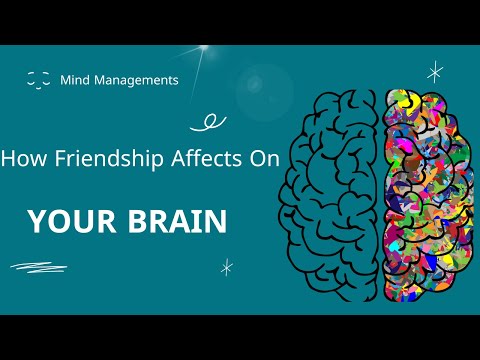 How Friendship Affects On Your Brain #shorts #shortsvideo #shortsyoutube