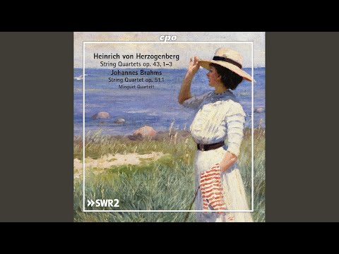 String Quartet in D Minor, Op. 42 No. 2: I. Allegro