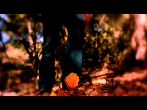 Mike Scheidt - In Your Light (Official Music Video)