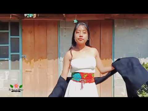 Aliss peña la chica de rebozo