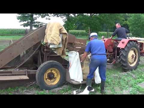 Hobbyist Van Canneyt - Kleit - Case CF 250 en SPY rooier