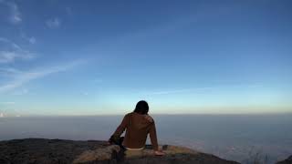 echo :  by dave thomas junior