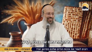 שביעי של פסח | ההבדל בין חמץ למצה | חיים של ריקנות ᴴᴰ (הערוץ של הרב שי עטרי) - התמונה מוצגת ישירות מתוך אתר האינטרנט יוטיוב. זכויות היוצרים בתמונה שייכות ליוצרה. קישור קרדיט למקור התוכן נמצא בתוך דף הסרטון